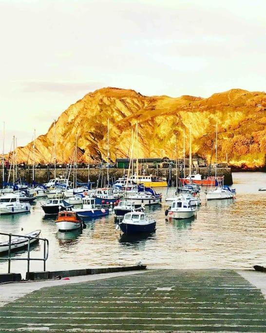 Paramount Apartments Ilfracombe, Arty Seaside Holiday Apartments Exteriör bild