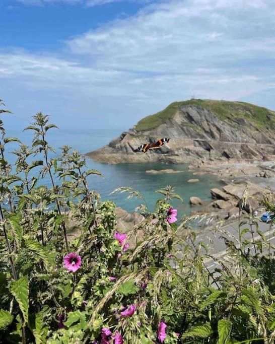 Paramount Apartments Ilfracombe, Arty Seaside Holiday Apartments Exteriör bild